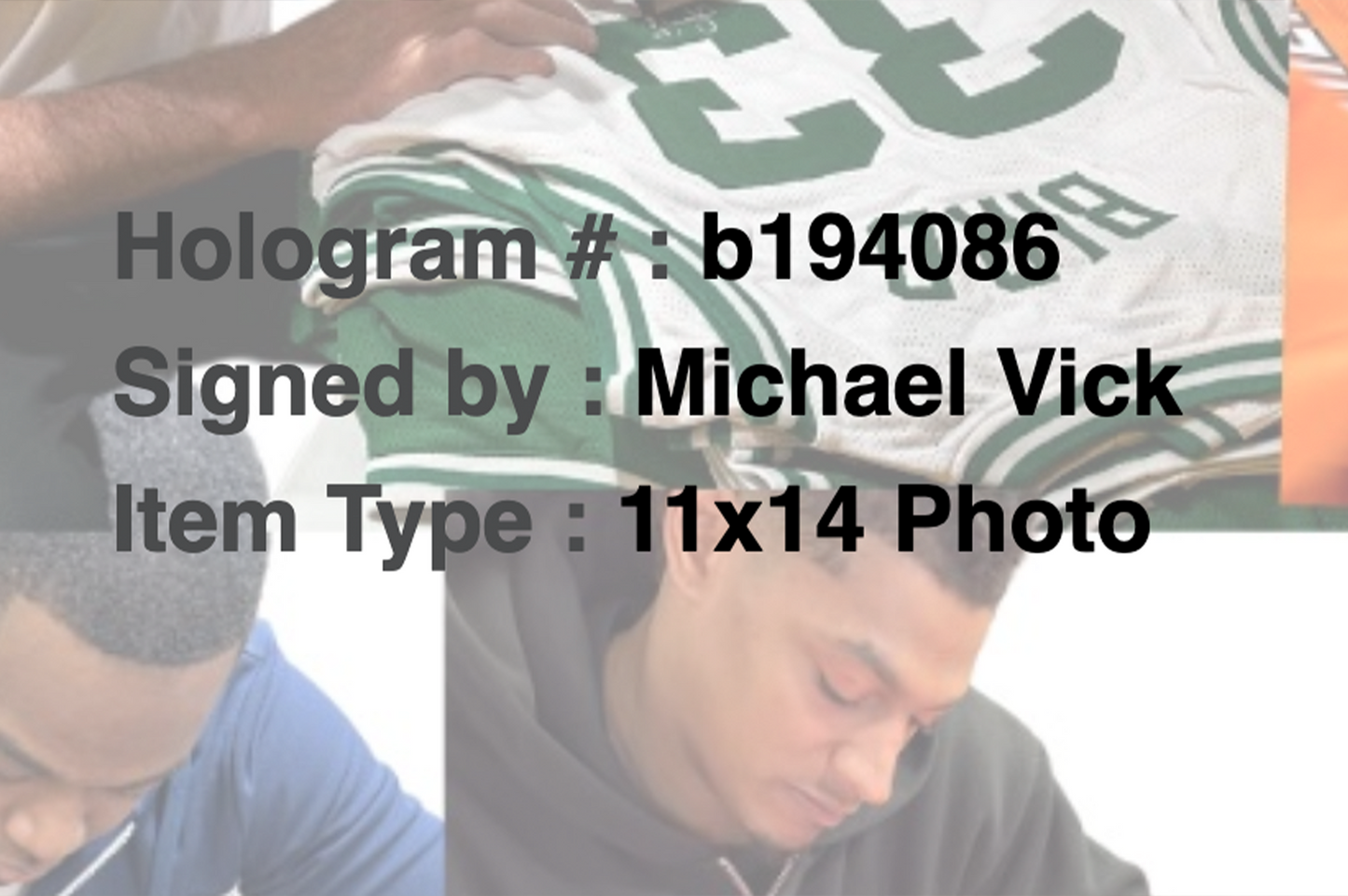 Michael Vick Autographed 11x14 Atlanta Falcons Photo