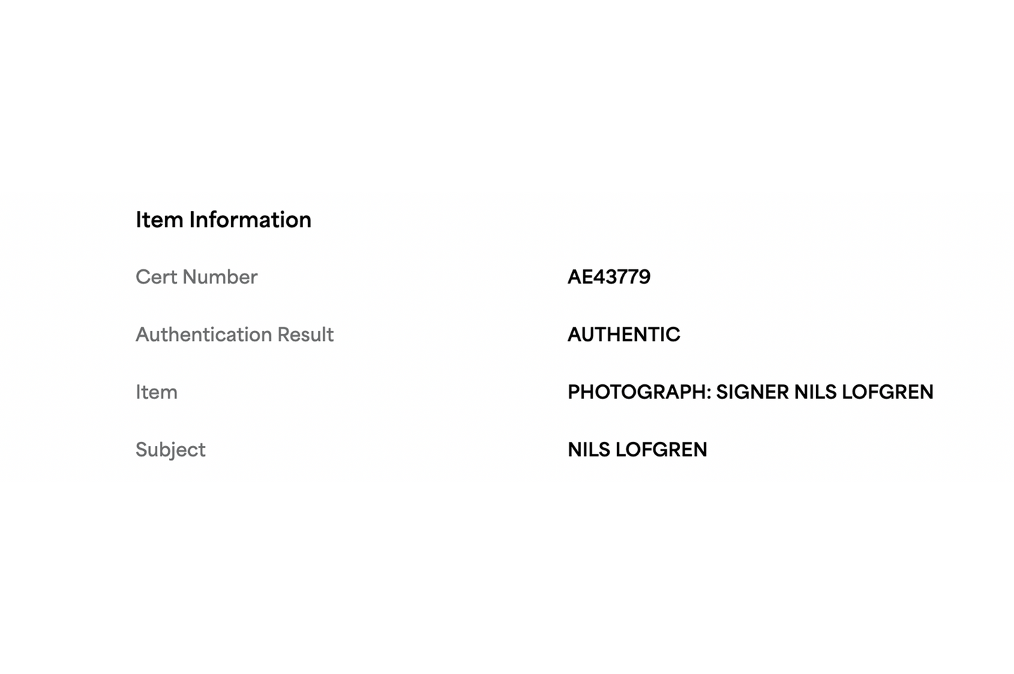 Nils Lofgren Autographed 8x10 Photo