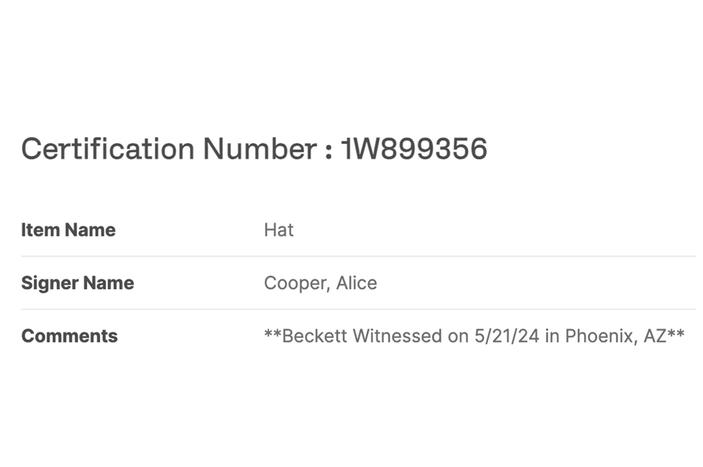 Alice Cooper Autographed White Top Hat