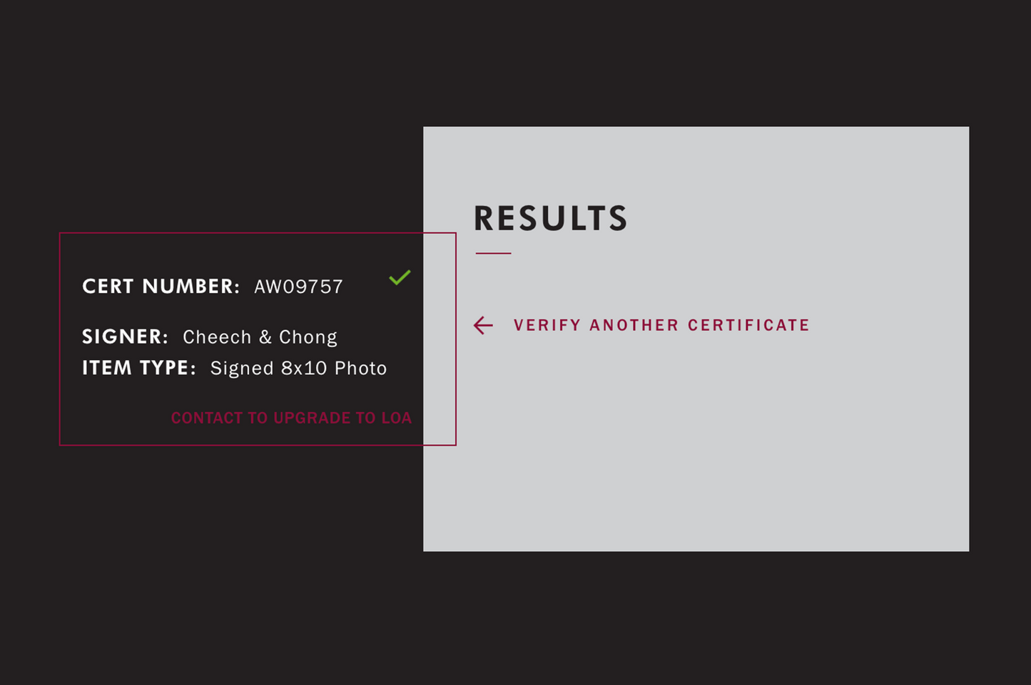 Cheech and Chong Autographed 'The Simpsons' 8x10 Photo