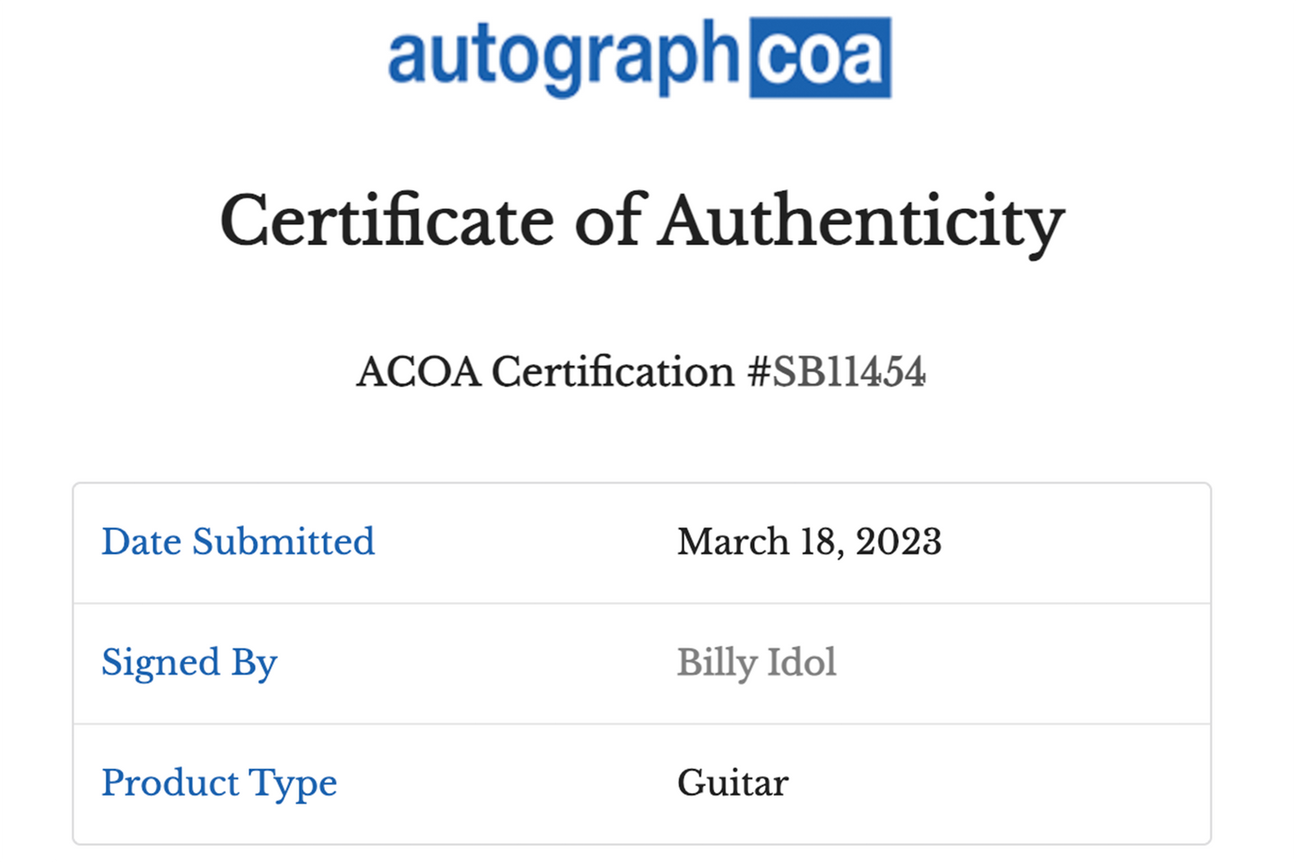 Billy Idol Autographed Guitar