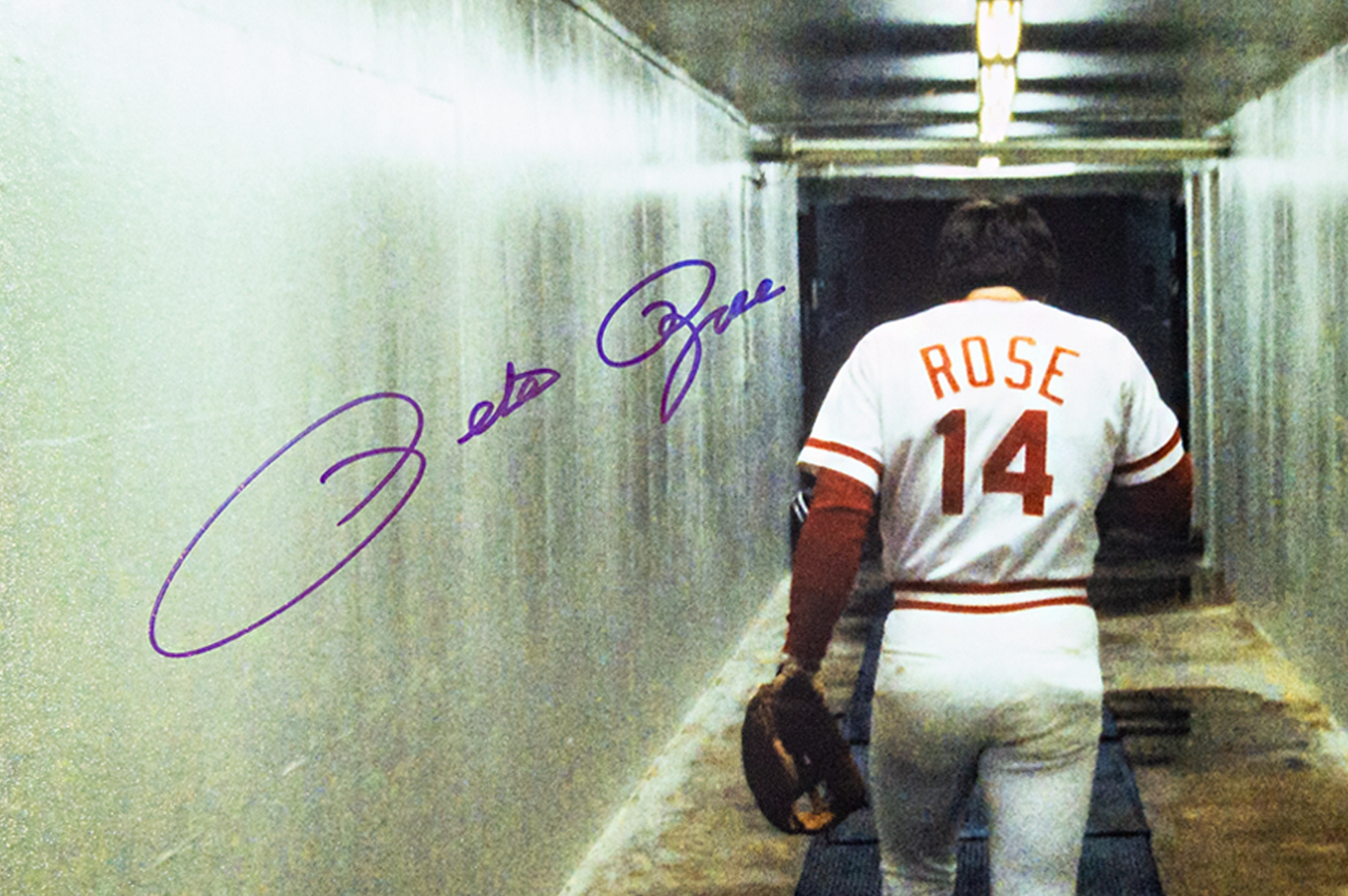 Pete Rose Autographed 16x20 Cincinnati Reds Photo