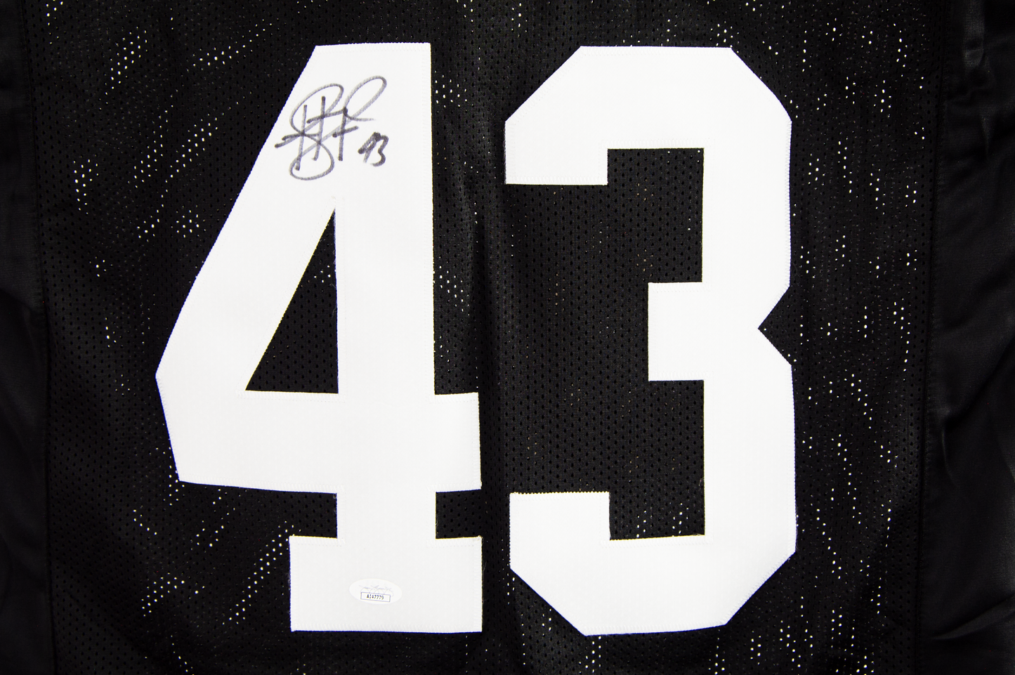 Troy Polamalu Autographed Custom Black Pittsburgh Jersey