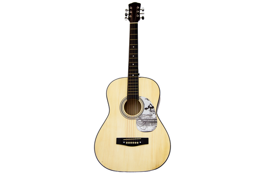 Taylor Swift Autographed Guitar